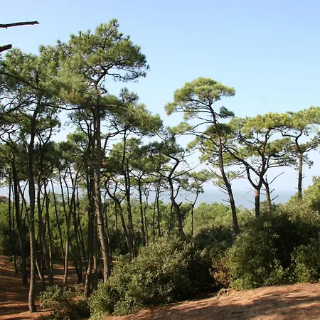 Maison Avec Jardin Pour 6 A St Brevin L'ocean Vakantiehuis Saint-Brévin-les-Pins