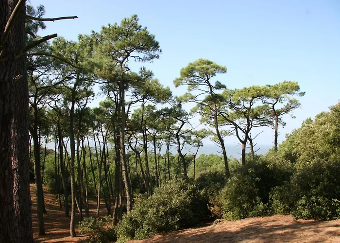 Maison Avec Jardin Pour 6 à St Brévin L’océan Casa de Férias Saint-Brevin-les-Pins